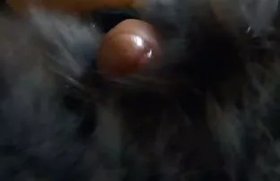 XXX Ít Gà trống làm phim sex học đường nhật bản nhục, lừa dối.