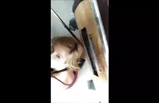 XXX Sexy sex hoc sinh nhat ban tình vaginas
